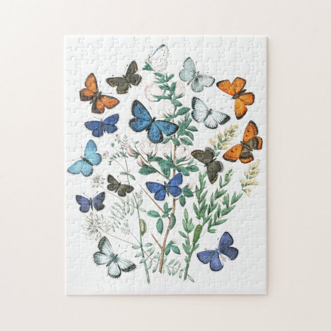 Puzzle Ilustracion de mariposas vintage (Vertical)