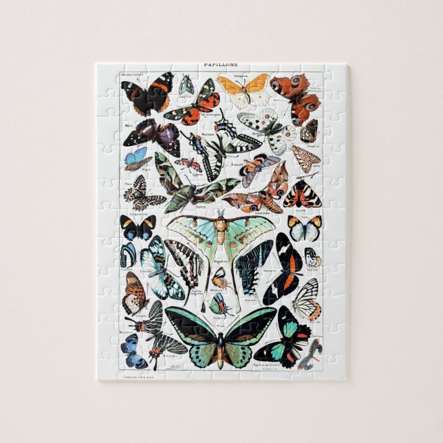 Puzzle Ilustracion de mariposas vintage (Vertical)
