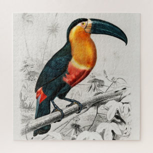 Puzzle Ilustración de Ramphastos Tucán Arte Impreso Vinta