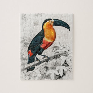 Puzzle Ilustración de Ramphastos Tucán Arte Impreso Vinta