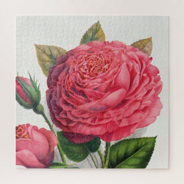 Puzzle Ilustración de rosa rosa vintage (Vertical)