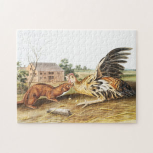 Puzzle Ilustracion de Tawny Weasel (Putorius fuscus)