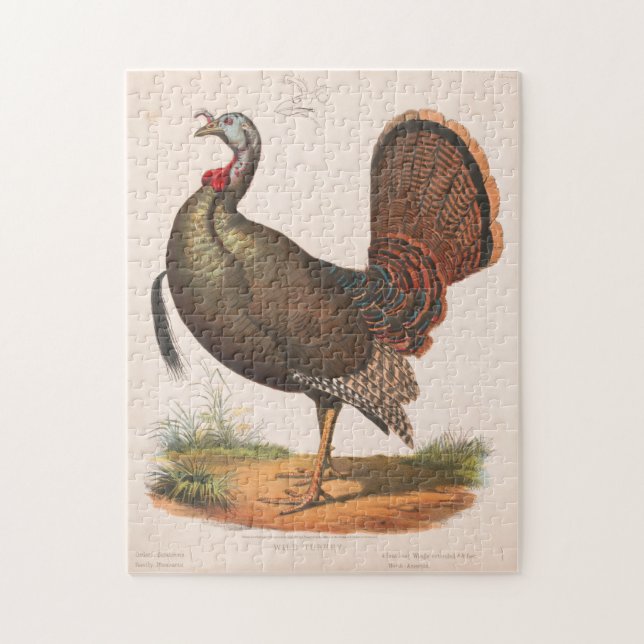 Puzzle Ilustracion de Turquía salvaje vintage (1872) (Vertical)