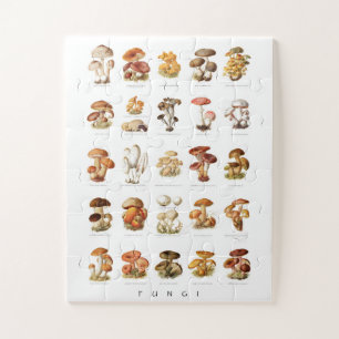 Puzzle ilustracion de ungüentos comestibles no comestibl