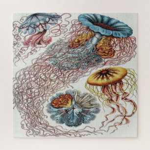 Puzzle Ilustracion de vida marina - Ernst Haeckel