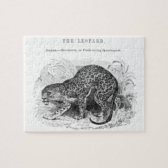 Puzzle Ilustracion de vida salvaje de leopardo de las viñ (Horizontal)
