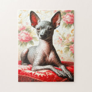 Puzzle Ilustracion de Xoloitzcuintle