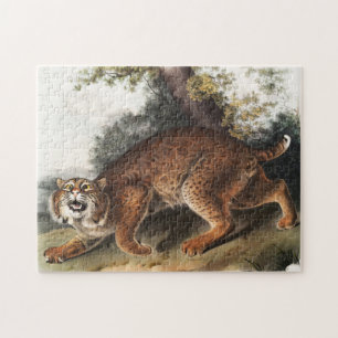 Puzzle Ilustracion del gato salvaje estadounidense (Lynx