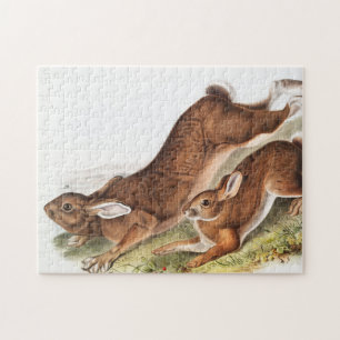 Puzzle Ilustracion del Hare Septentrional (Lepus American
