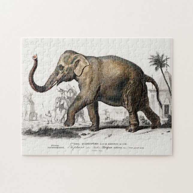 Puzzle Ilustracion elefante Arte de época (Horizontal)
