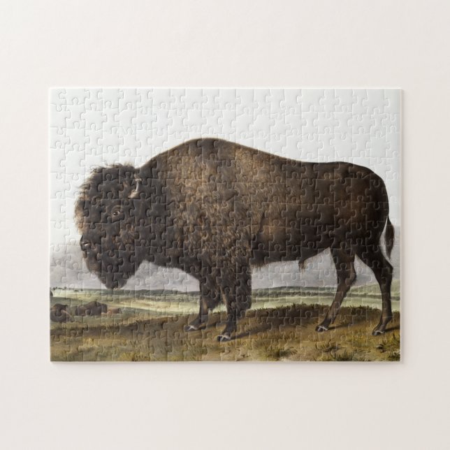 Puzzle Ilustracion estadounidense Bison (Bos Americanus) (Horizontal)