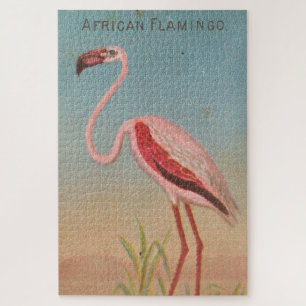 Puzzle Ilustracion Flamingo Rosa Vintage (1889)