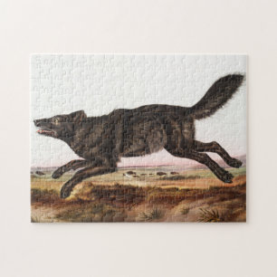 Puzzle Ilustracion Lobo Norteamericano Negro (Canis lupus