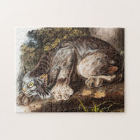 Ilustracion Lynx (Lynx Canadensis) en Canadá