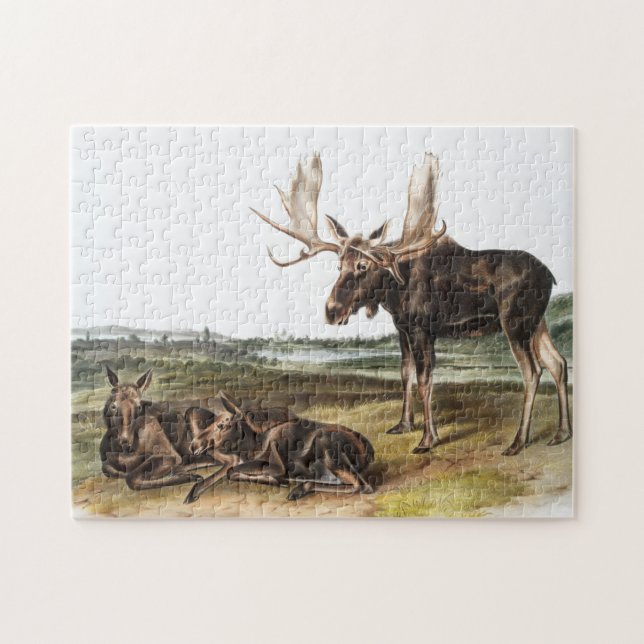 Puzzle Ilustracion Moose Deer (Servus alces) (Horizontal)