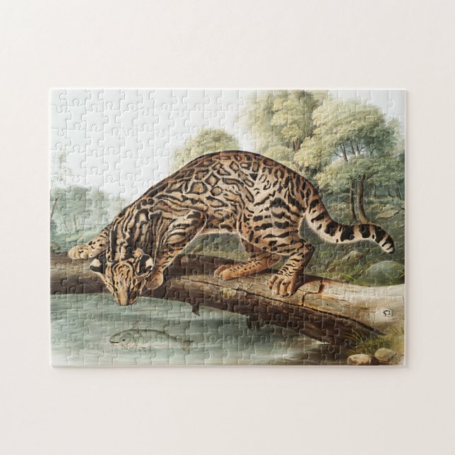 Puzzle Ilustracion Ocelot, Leopard Cat (Felis pardalis) (Horizontal)
