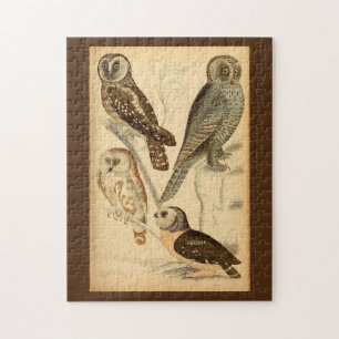 Puzzle Ilustracion Owls