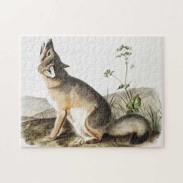 Puzzle Ilustracion Swift Fox (Vulpes velox) (Horizontal)