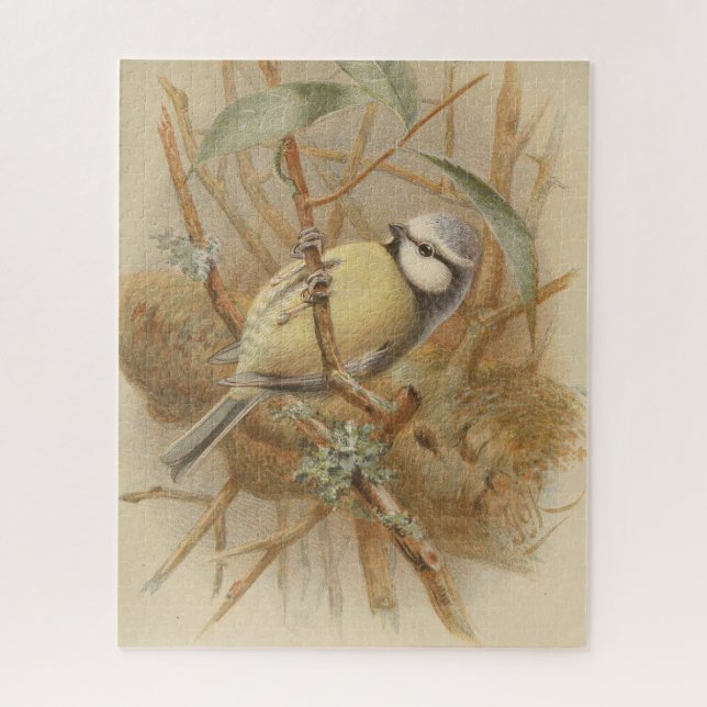 Puzzle Ilustracion vintage de Bluetit (Vertical)