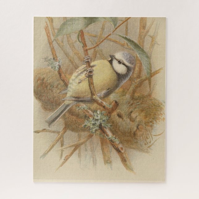 Puzzle Ilustracion vintage de Bluetit (Vertical)