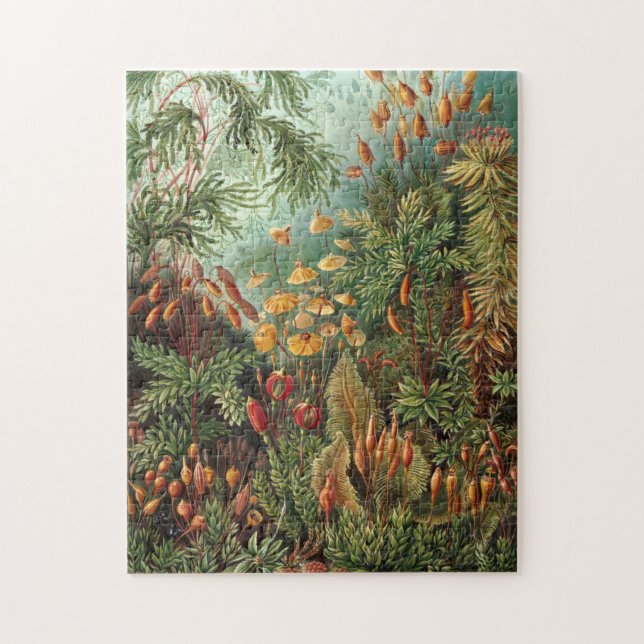 Puzzle Ilustracion vintage de plantas/setas (Vertical)