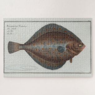 Puzzle Ilustracion vintage de un pez fundador (1785)