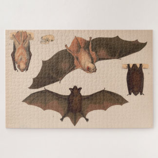 Puzzle Ilustracion Vintage Flying Bat (1874)