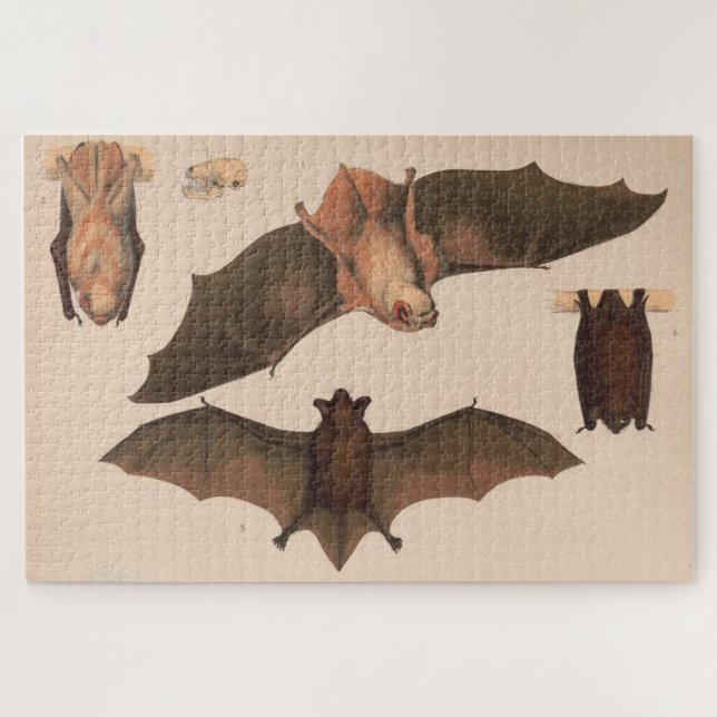 Puzzle Ilustracion Vintage Flying Bat (1874) (Horizontal)
