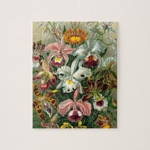 Puzzle Ilustracion Vintage Orquídea