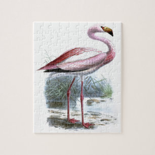 Puzzle Ilustracion Vintage Puna Flamingo