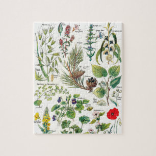 Puzzle Ilustraciones botánicos