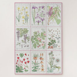 Puzzle Ilustraciones botánicos Maurice Pillard Verneuil 1
