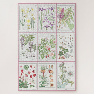 Puzzle Ilustraciones botánicos Maurice Pillard Verneuil 1