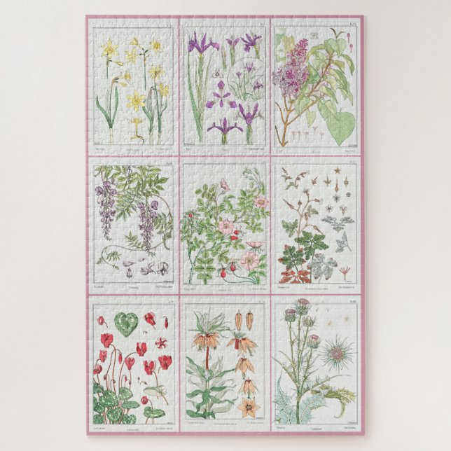 Puzzle Ilustraciones botánicos Maurice Pillard Verneuil 1 (Vertical)