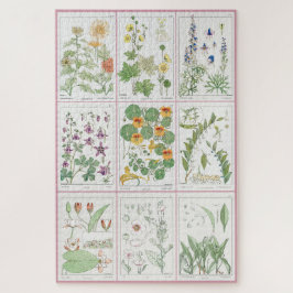 Puzzle Ilustraciones botánicos Maurice Pillard Verneuil 2