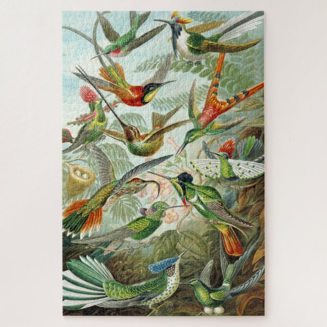 Puzzle Ilustraciones de Hummingbirds 1899, Ernst Haeckel, (Vertical)