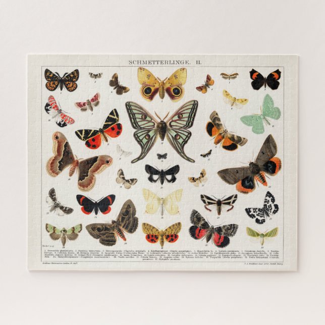 Puzzle Ilustraciones de mariposas y polillas antiguas (Horizontal)