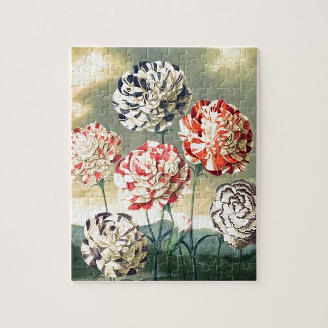 Puzzle Ilustraciones Florales Vintage (Vertical)