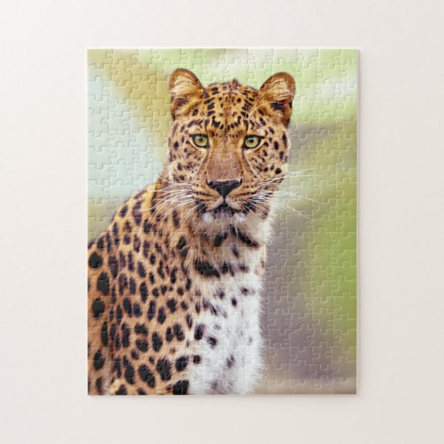 Puzzle Imagen de Leopard Photograph (Vertical)