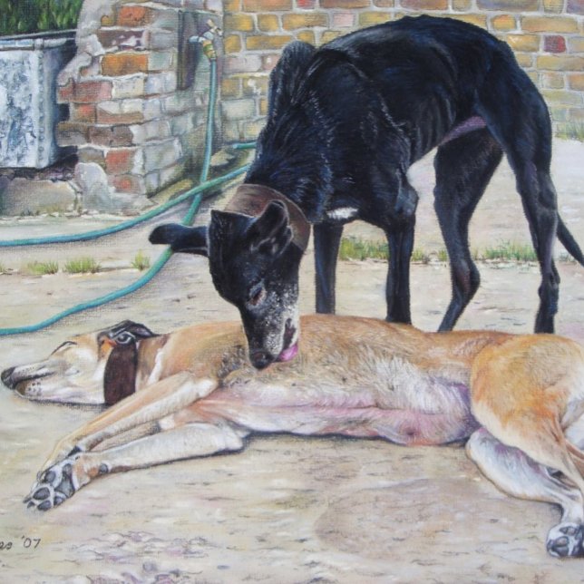 Puzzle imagen escénica de dos perros muy lindos (Subido por el creador)
