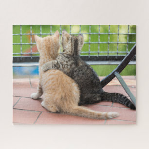 Puzzle Imágenes de Getty el dos gatitos en un balcón