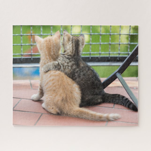 Puzzle Imágenes de Getty el | dos gatitos en un balcón (Horizontal)