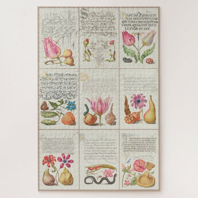 Puzzle Imágenes de Mira Calligraphiae Monumenta 004 (Vertical)