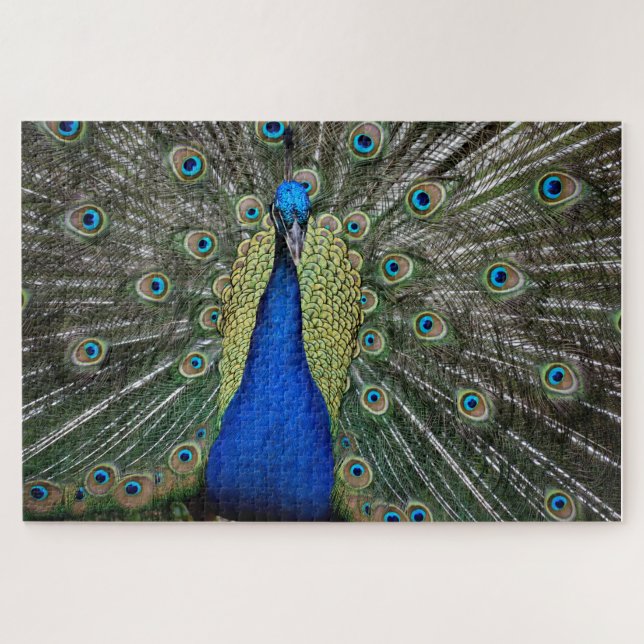Puzzle Imán de pavo real majestuoso (Horizontal)