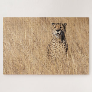 Puzzle imposible - Guepard