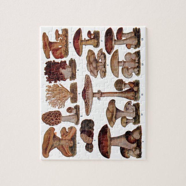 Puzzle Impresión botánica de la familia de hongos de époc (Vertical)