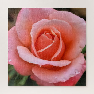 Puzzle Impresión de arte botánico Rosa romántico