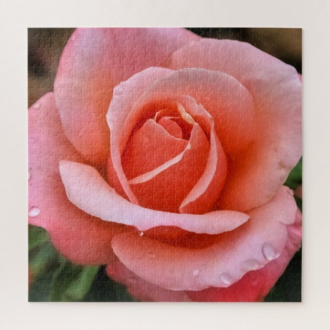 Puzzle Impresión de arte botánico Rosa romántico (Vertical)