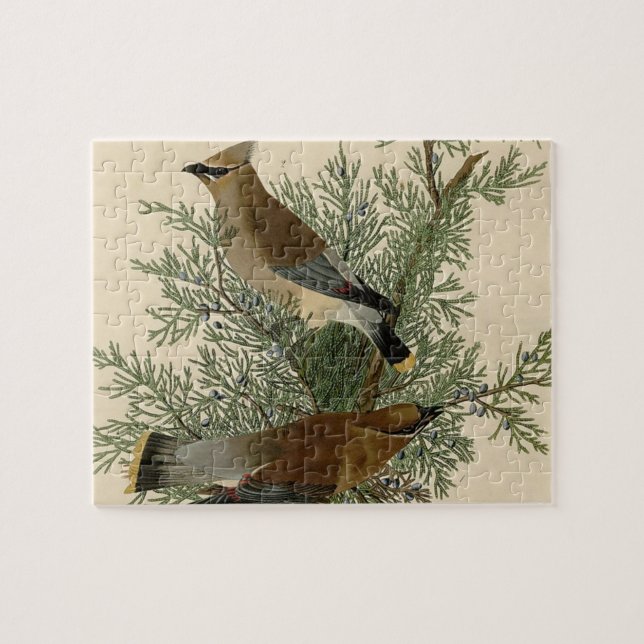 Puzzle Impresión de ave de John James Audubon Cedar Waxwi (Horizontal)