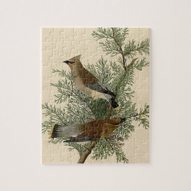 Puzzle Impresión de ave de John James Audubon Cedar Waxwi (Vertical)